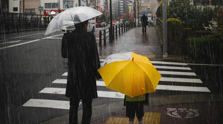 Rain Day, Hujan ternyata Punya Hari Perayaan Sendiri