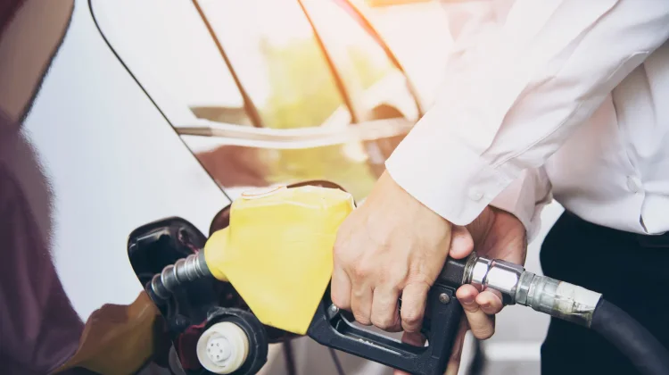 International Biodiesel Day, Mengenal Bahan Bakar Alternatif dari Sumber Terbaru