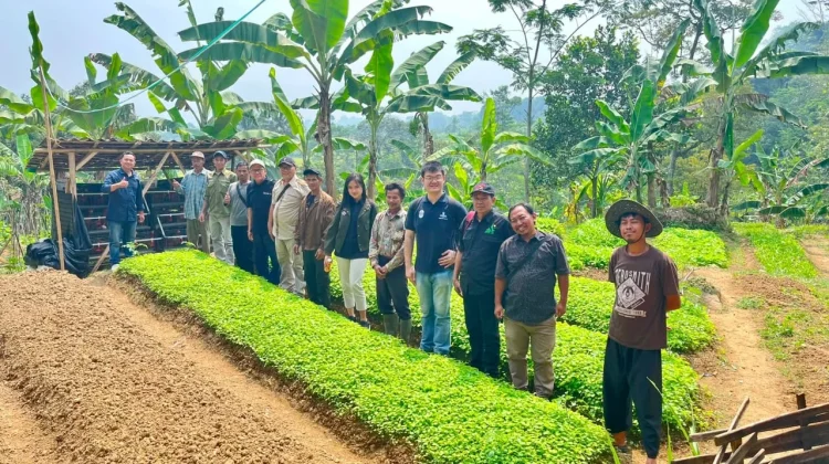 Edufarmers Foundation dan SASPRI Nasional Perkuat Ekonomi Petani Nanggung