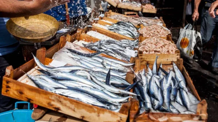 Cermat sebelum Membeli, Begini Cara Memilih Ikan Segar