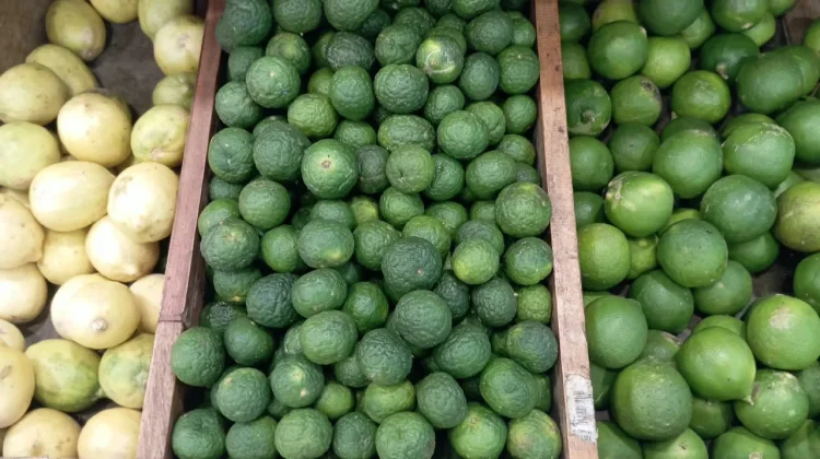 Ragam Jeruk dan Kegunaannya di Dapur