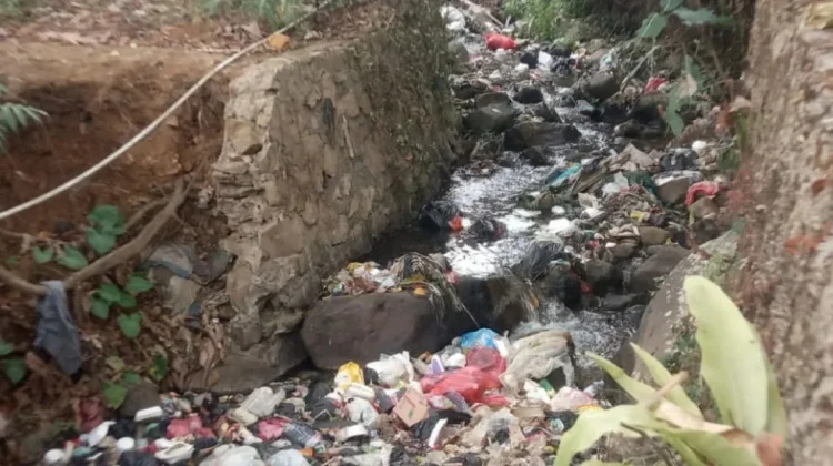 Bantaran Kali Jogjogan Puncak Bogor Dipenuhi Sampah, DLH Langsung Tindaklanjuti