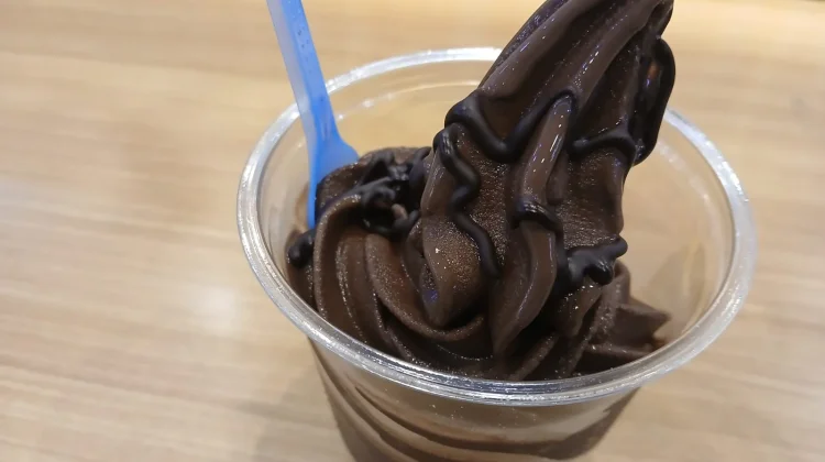 Es Krim Cokelat: Camilan Manis untuk Menemani Waktu Santai