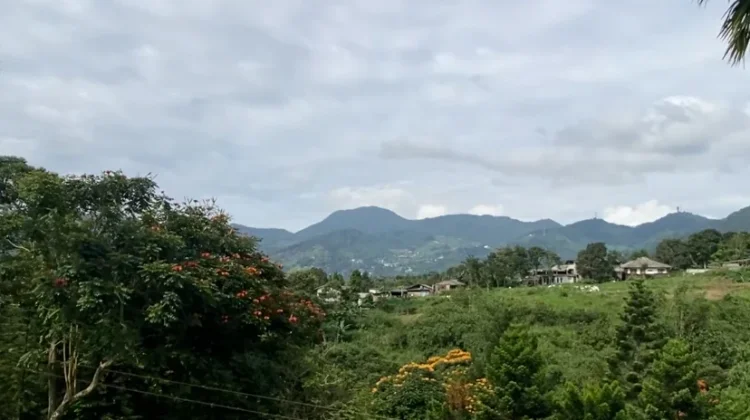 Puncak Bogor Terasa Dingin saat Musim Kemarau, ternyata Ini Penyebabnya