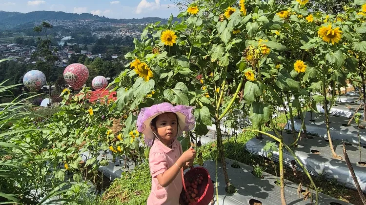 Anak yang Sering Bepergian Cenderung Lebih Cerdas, Benarkah?