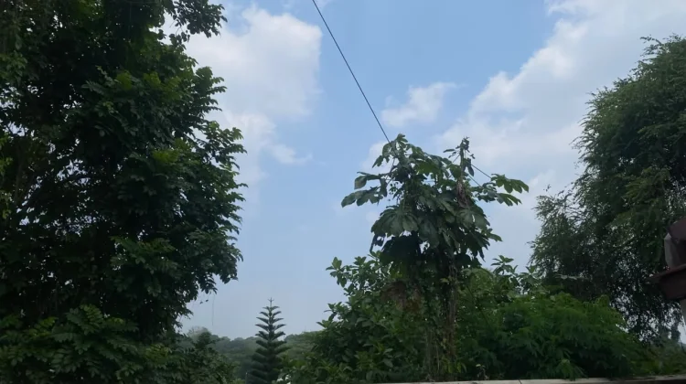 Kota Bogor Miliki Potensi Hujan, Ditengah Musim Kemarau yang saat ini Terjadi