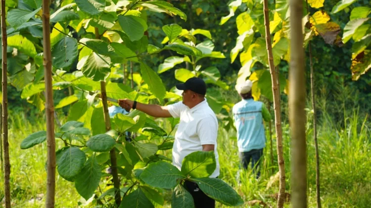 Hutan Kota Diperluas, Pemkab Bogor Perkuat Komitmen Lingkungan