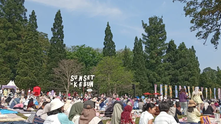 Sunset di Kebun Kenalkan Hoya dan Pesan Konservasi Alam