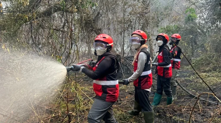 Lahan Gambut dan Minim Air Jadi Kendala Relawan Padamkan Karhutla di Kalbar