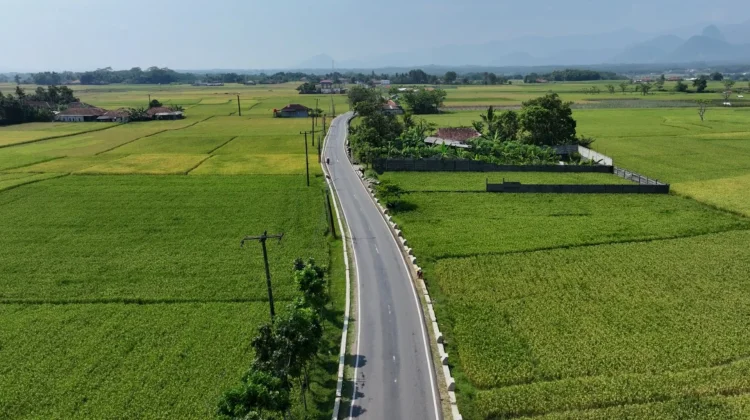 Pemkab Bogor Targetkan Perbaikan Sekolah dan Jalan Rampung 2028