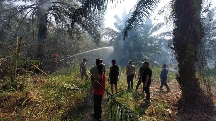 Kapolsek Gunung Sindur Gerak Cepat Antisipasi Kebakaran Lahan Kebun Bambu