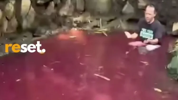 Fenomena Mata Air Berwarna Merah di Gunung Sindur Bogor