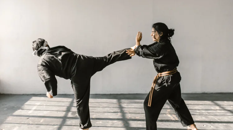 Hapkido, Seni Bela Diri Korea yang Mengutamakan Keharmonisan Gerak