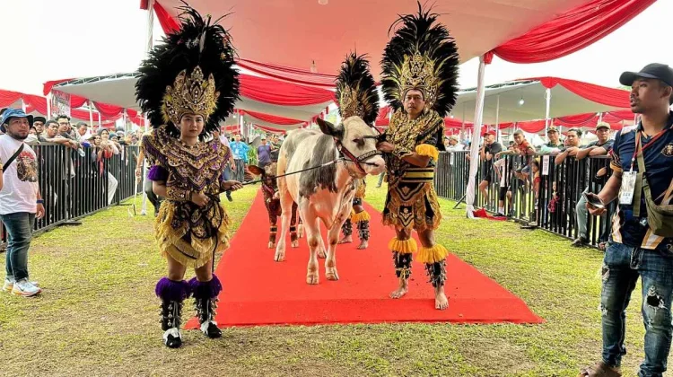Kontes Sapi APPSI Piala Presiden 2026 , Peternak Rakyat Didorong Naik Kelas