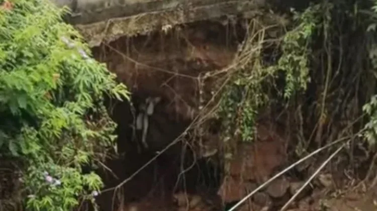 Waspada Jalan Alternatif Puncak menuju Taman Safari Berpotensi Longsor