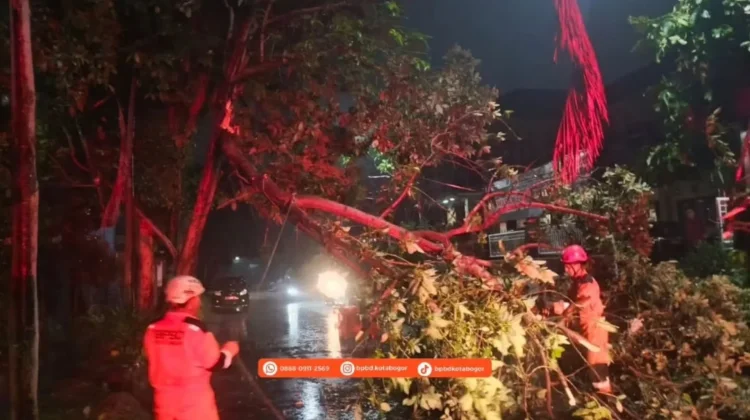 629 Laporan Kejadian Masuk ke BPBD Kota Bogor hingga Awal Oktober