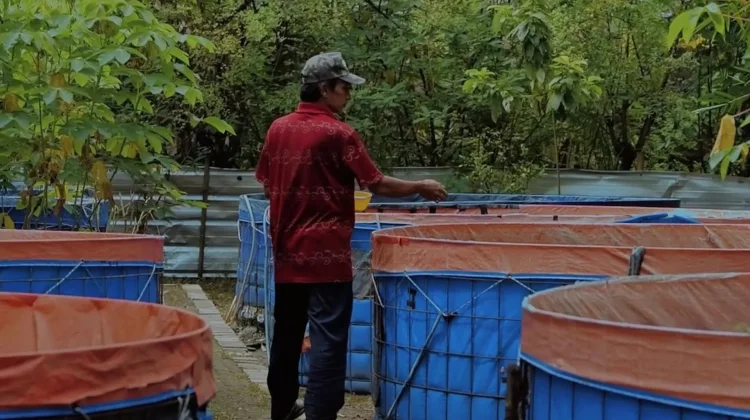 Bupati Bogor: Pembangunan Daerah Harus Berangkat dari Kebutuhan Desa