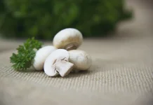 Cara Membersihkan dan Mengolah Jamur Champignon agar Tetap Lezat dan Bernutrisi