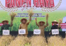 Setahun Kepemimpinan Rudi Susmanto – Jaro Ade,  Catat Peningkatan Infrastruktur