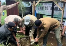 Pulihkan Lahan Kritis Melalui Program Daerah  Selasa Menanam