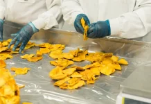 Hindari Makanan Ultra Proses untuk Tekan Risiko Kanker Usus Dini