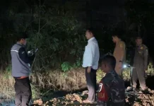 Pembuang Limbah B3 di Gunung Putri Bogor Diamankan Petugas