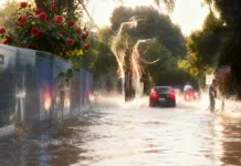 WALHI Soroti Banjir Desa Cijayanti sejak Tahun 2021