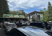 Libur Panjang ke Bogor? Jangan Lewatkan Destinasi Favorit Wisatawan Ini