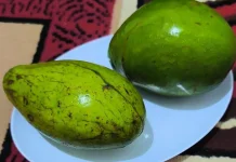 Rahasia Tersembunyi Buah Alpukat yang Jarang Orang Ketahui