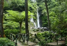 Curug Cilember Destinasi Favorit Libur Lebaran di Puncak Bogor