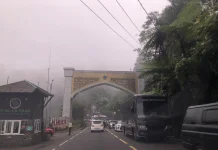 Bupati Bogor Percepat Penataan Kawasan Puncak, Kolaborasi dengan Swasta