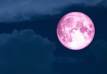 Fenomena Pink Moon 2026, Waktu dan Tips Mengamatinya