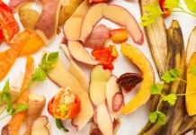 Tips Sampah Makanan Menjadi Awal Mula Pupuk Organik