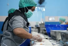 BGN Bedakan Skema MBG Antara Penerima 3B dan 3T