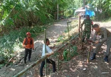 Pergeseran Tanah Tutup Jalan Desa di Rumpin Bogor