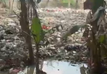 Warga Parung Bogor Resah Muncul Tempat Pembuangan Sampah Ilegal di Desa Warujaya