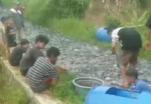 Ribuan Ikan Lele Tumpah Penuhi Jalan Cigorongsong di Kecamatan Rumpin