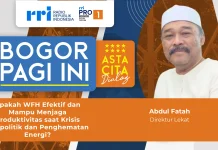 Digitalisasi dan Pengawasan Jadi Penentu Sukses WFH ASN