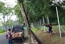 WALHI Soroti Dugaan Penebangan Liar Terjadi di Sentul City Babakan Madang