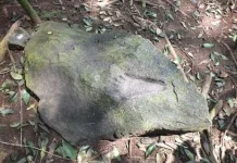 Dinas Kebudayaan Kabupaten Bogor Inventarisir Ratusan Situs Purbakala
