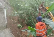 BPBD Kota Bogor Tangani Longsor di Balivet Bawah Ciwaringin