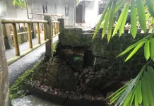 Tebing Setinggi 5 Meter Longsor di Kertamaya Kecamatan Bogor Selatan
