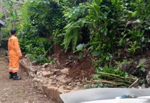 BPBD Tangani Tebing Longsor 15 Meter Terjadi di  Curug Mekar Bogor Barat