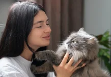 Manfaat Memelihara Kucing dari Kesehatan Jantung hingga Kesehatan Mental