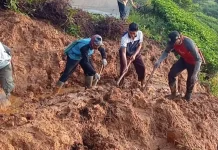Jalan Nanggung-Jasinga Tertutup Longsor, 20 Personel Dikerahkan