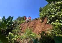 Kontur Tanah Labil Memicu Longsor di Pasirjaya Bogor Barat