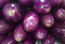 Tips Memasak Terong Lezat, Anti Lembek dan Berminyak
