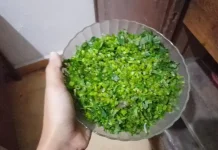 Daun Seledri: Si Kecil Hijau dengan Segudang Manfaat