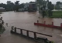 Kali Cinyompok Tenjo Bogor Meluap, Rendam Rumah Warga