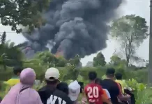 Peternakan Ayam PT Sreeya Sewu di Ciseeng Kebakaran Kerugian Rp 10 Miliar